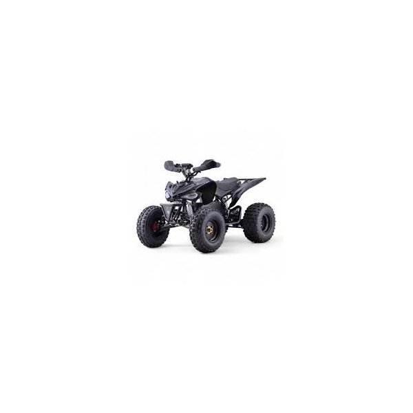 Shredder Electric Sport Quad - Eco Rider electric quad bike